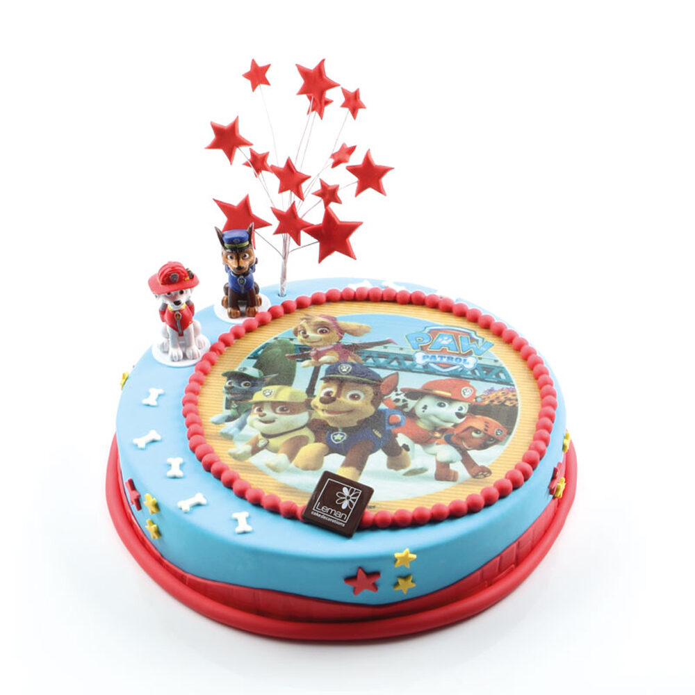 C/12PC DISQUE PAW PATROL 21CM    %