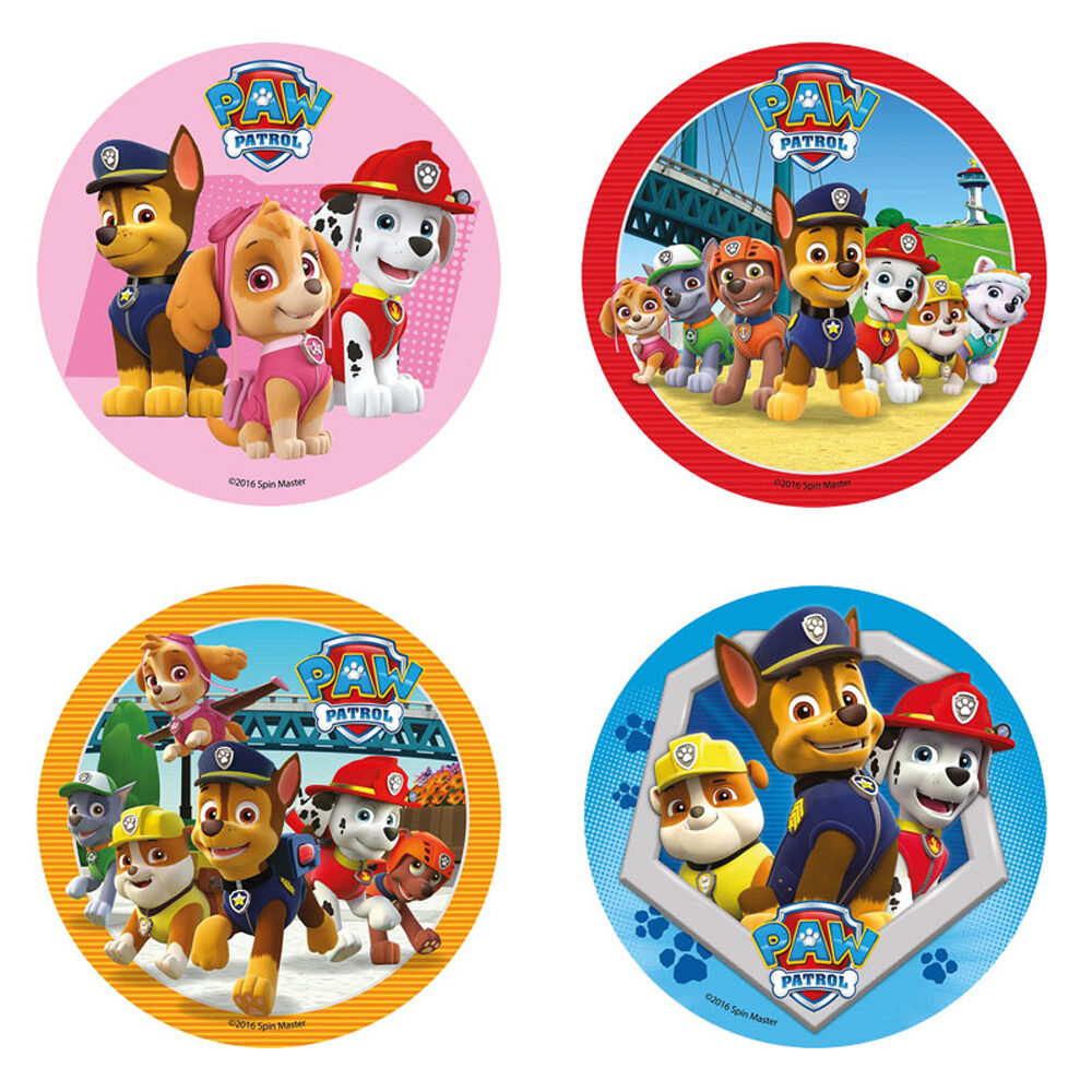 C/12PC DISQUE PAW PATROL 21CM    %