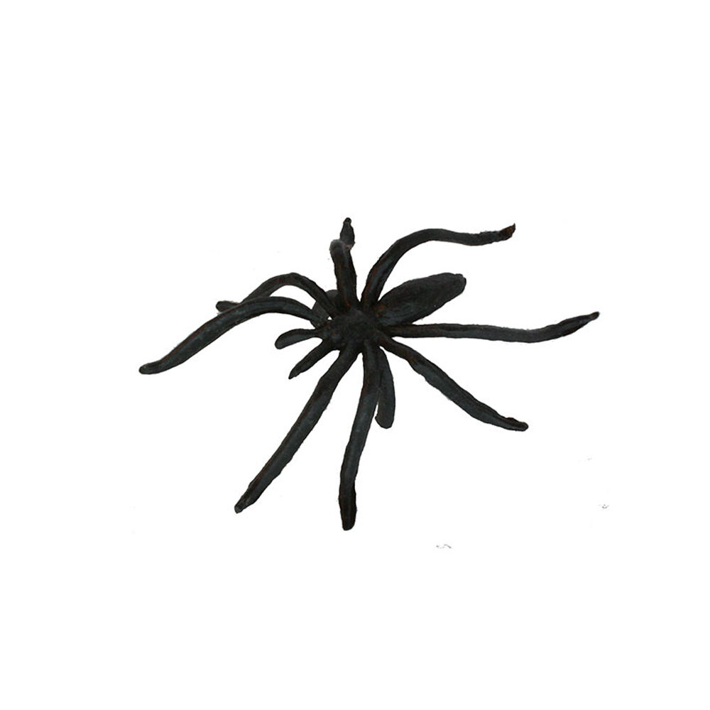 C/144 PC. ARAIGNEE PL.  4X5 40846%