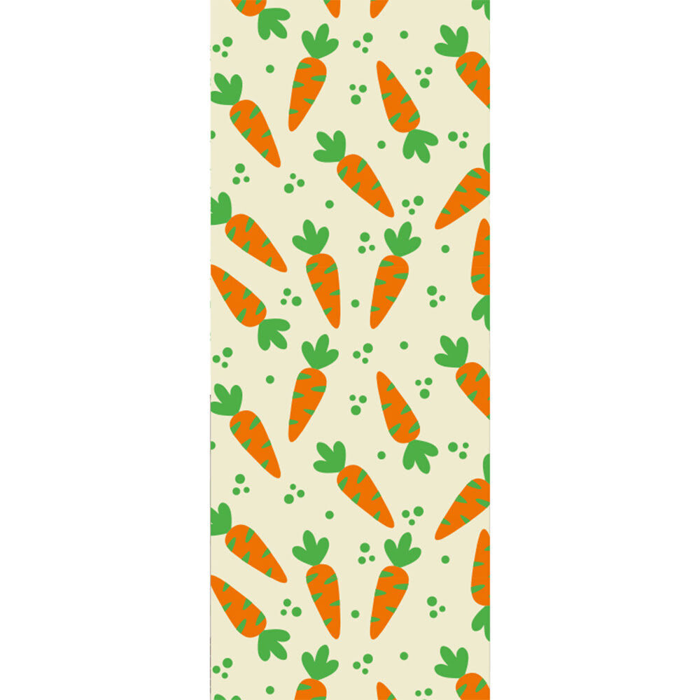 X30PC TRANSFERT CARROT L.40 X 30CM PLASTIC 46434