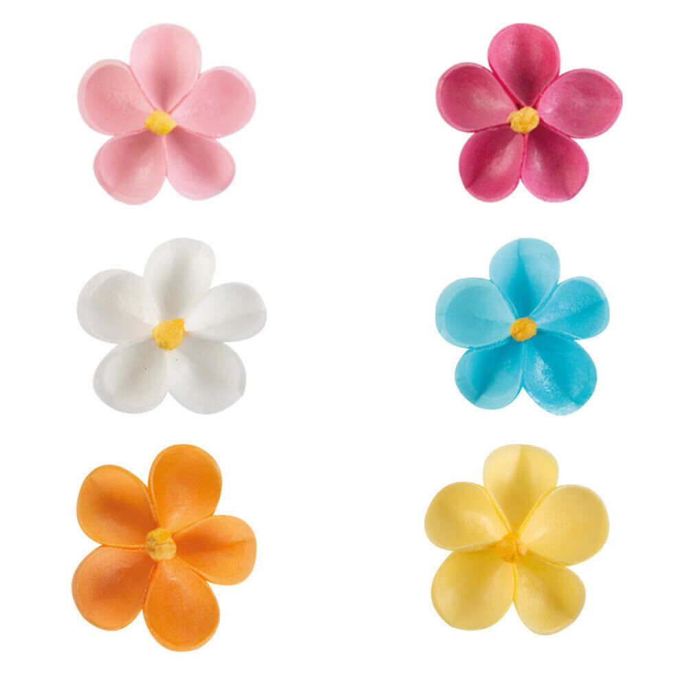 X100ST ASSORTIMENT BLOEM JASMIJN D.4CM HOSTIE 49359