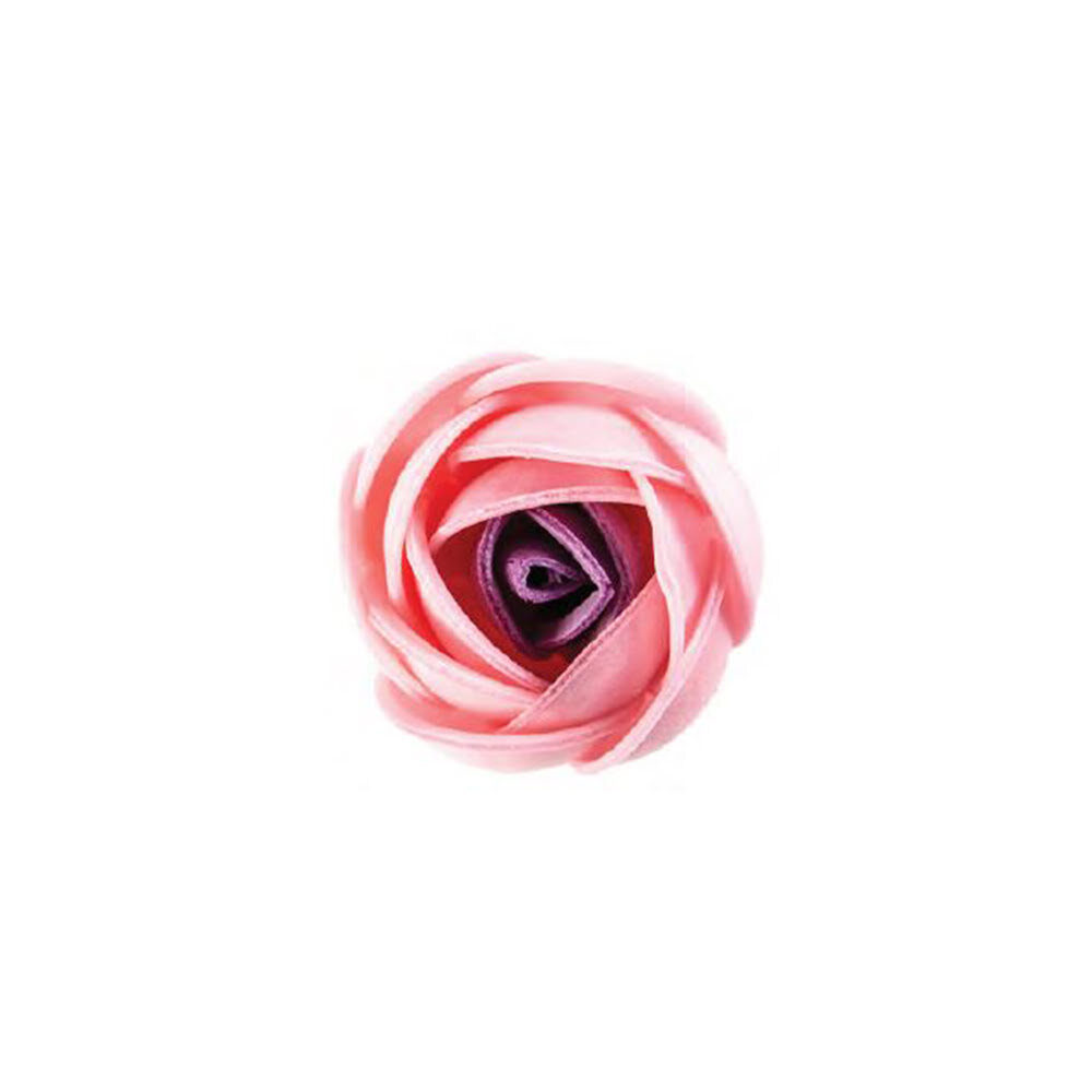 X100PC RANNEL PINK / PURPLE D.4CM WAFER 49637
