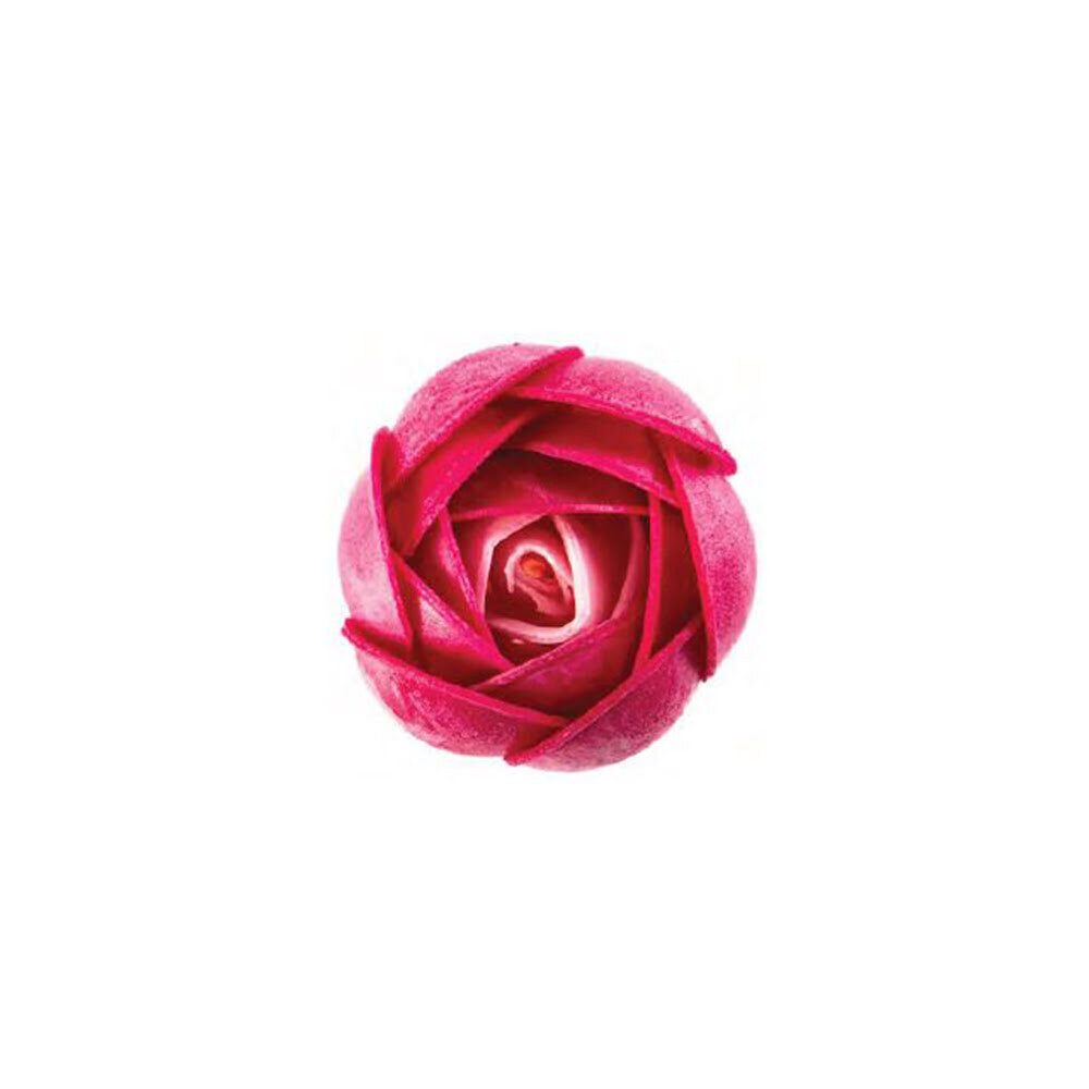 X100ST RANUNKEL FUCHSIA / ROZE D.4CM HOSTIE 49638