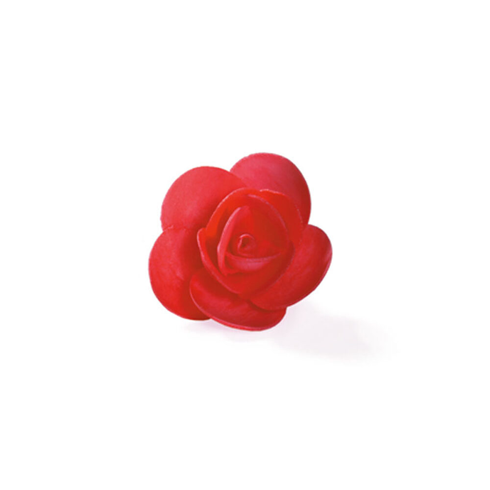 C/ 72 PC. RED ROSE          58015%