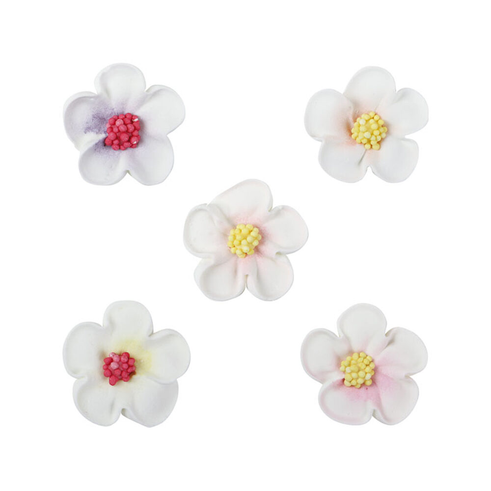 C/150PC. FLEUR              62055%