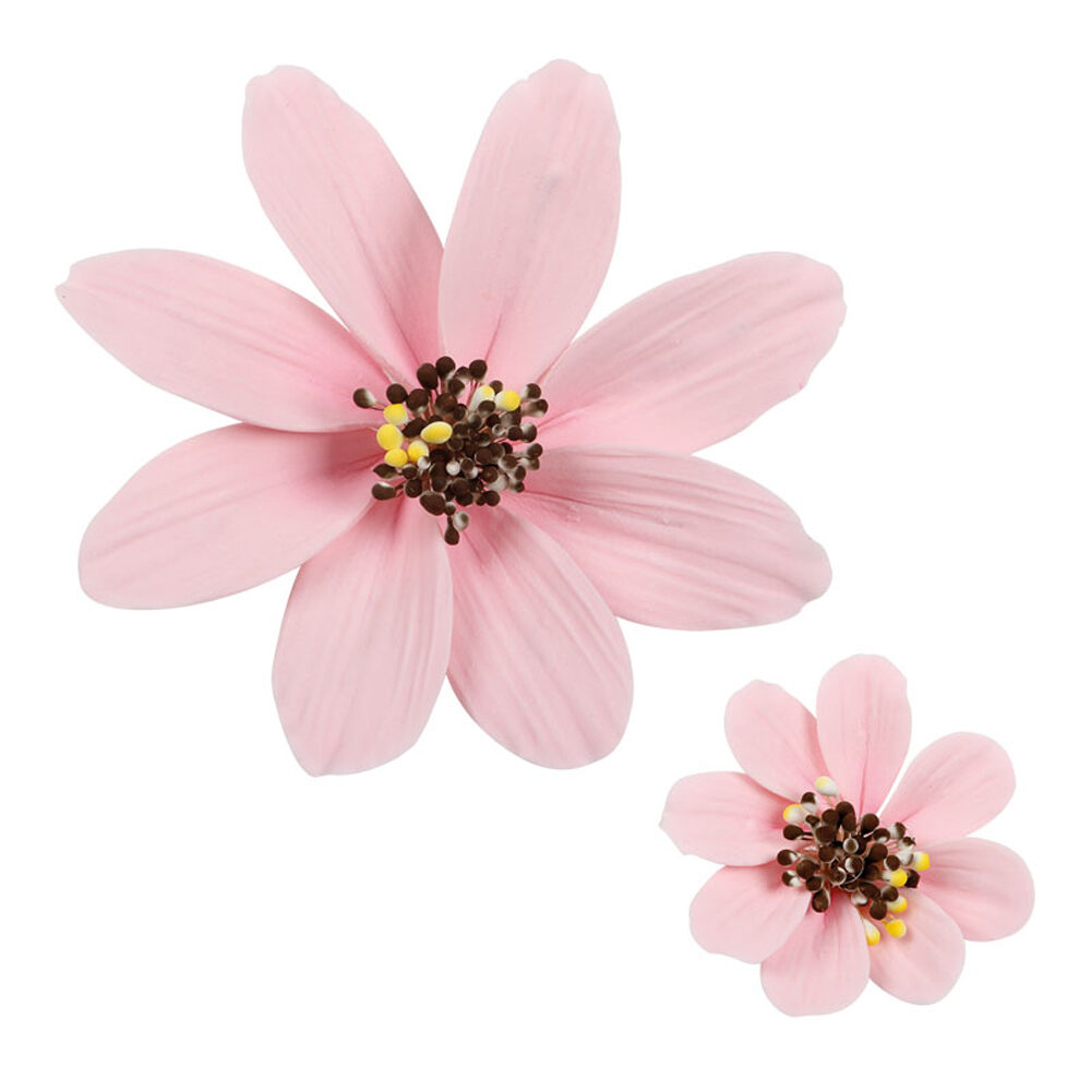 C/16PC PINK FLOWER DRAGANT 66034