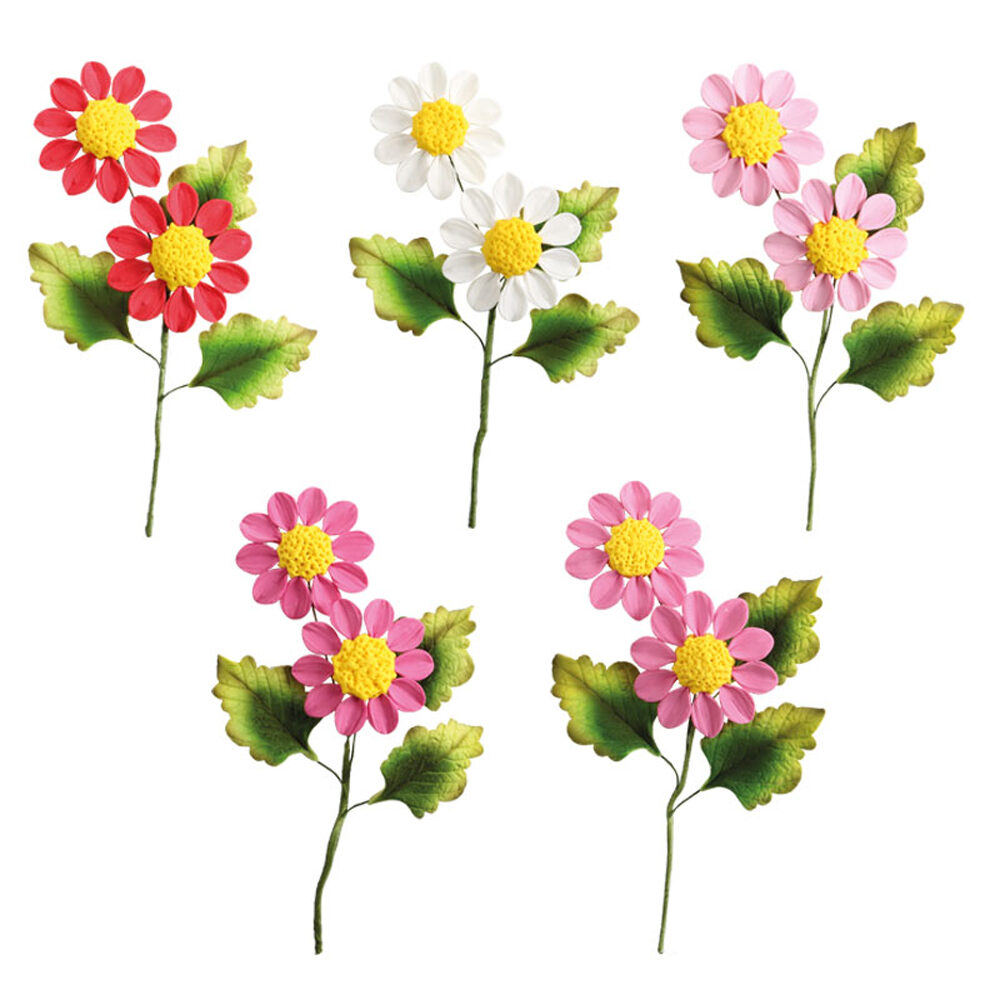 C/10PC.BOUQETS DE MARGUERIT.66035%