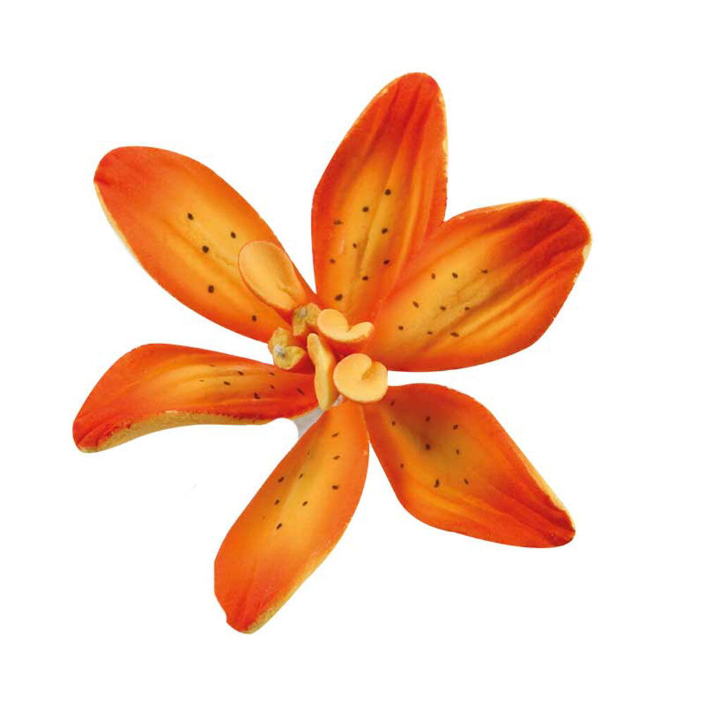 C/25PC ORANGE FLOWERS 4.8CM  66045%