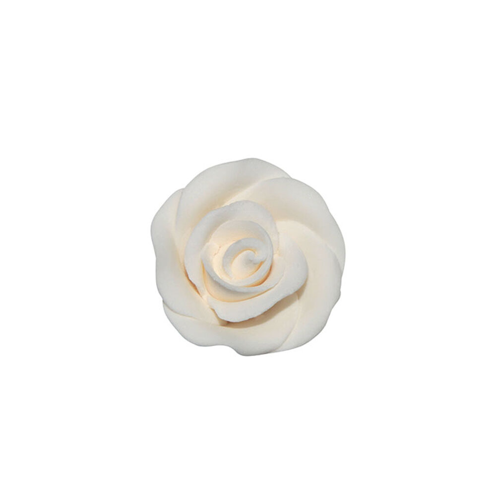 C/64PC.WHITE ROSE SMALL DRAGANT 66053