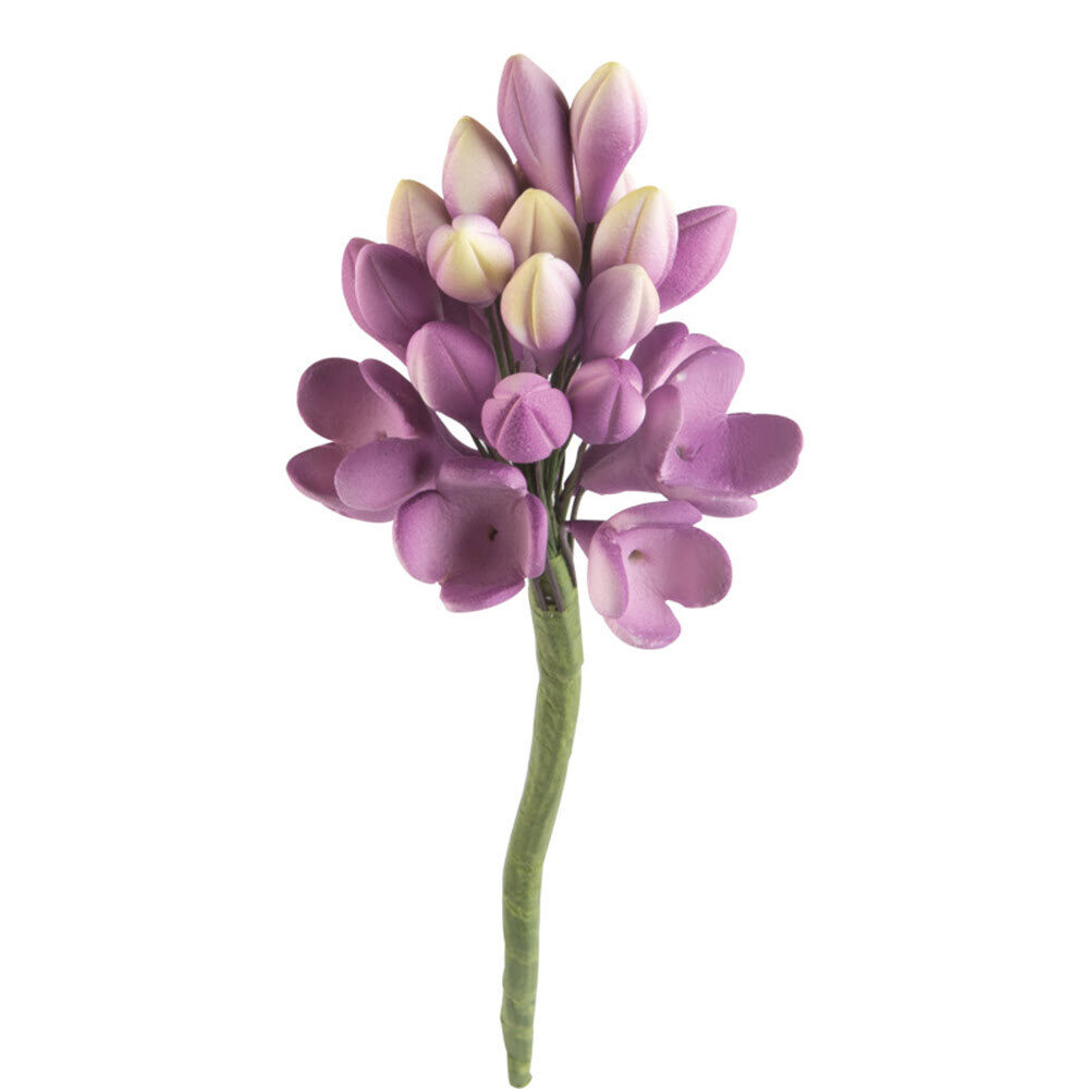 X20PC PURPLE FILLER H6X5CM DRAGANT 66082