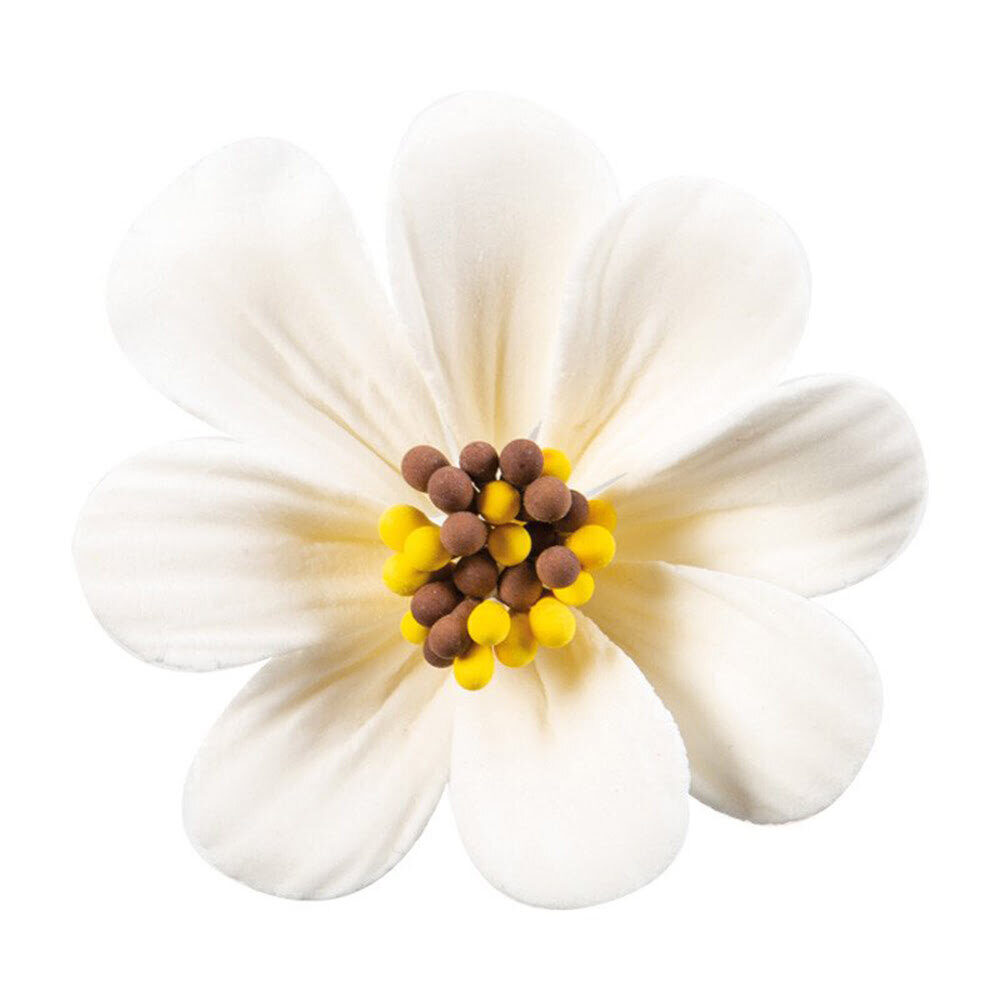 X36PC WHITE FLOWER D.5CM DRAGANT 66098