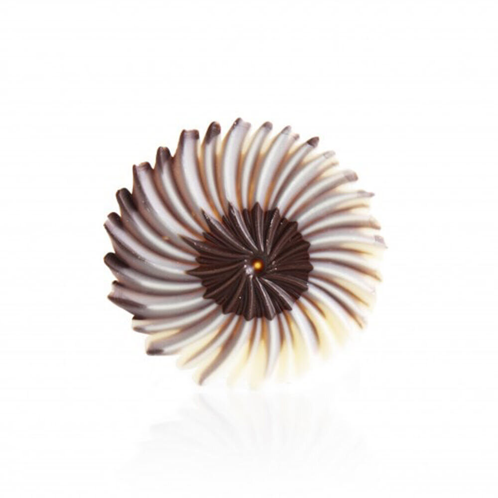 X30PC STYLISH FLOWER DARK/WHITE D.6CM CHOCOLAT 77681