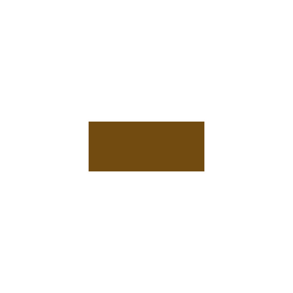 X160ST CHOCOLADEPLAATJE ZONDER LOGO RH 5,5X2,2CM 94179