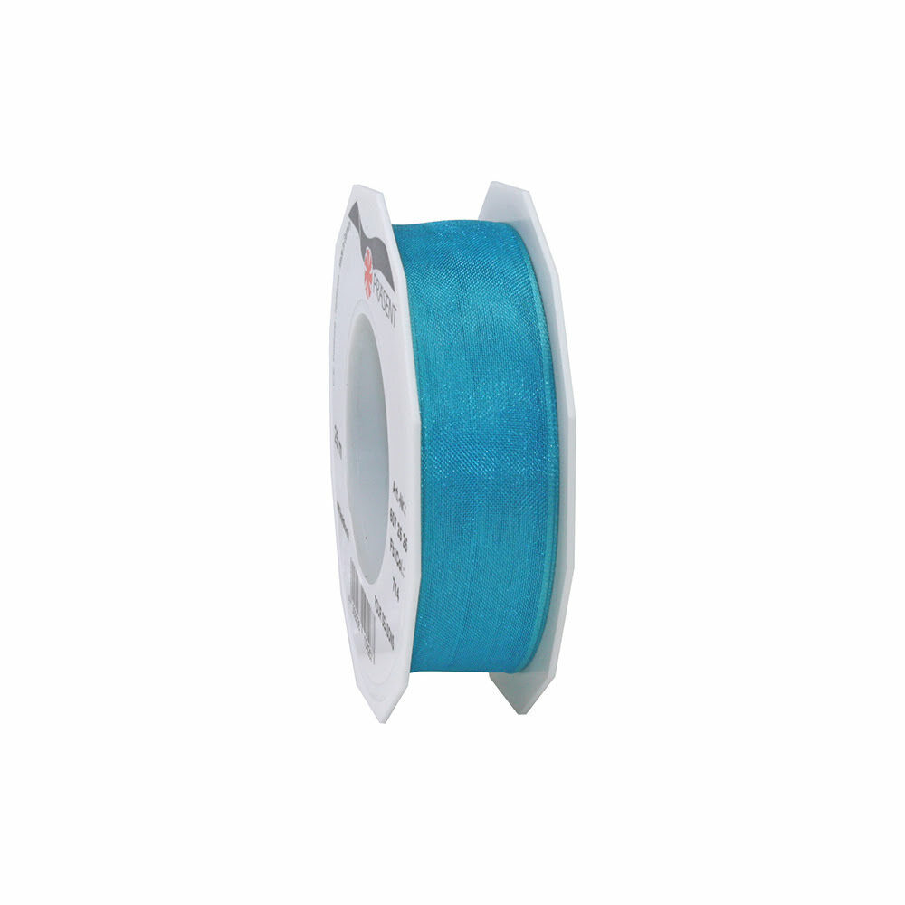 X1PC RUBAN FOUR SEAS TURQUOIS UNI 25MM_