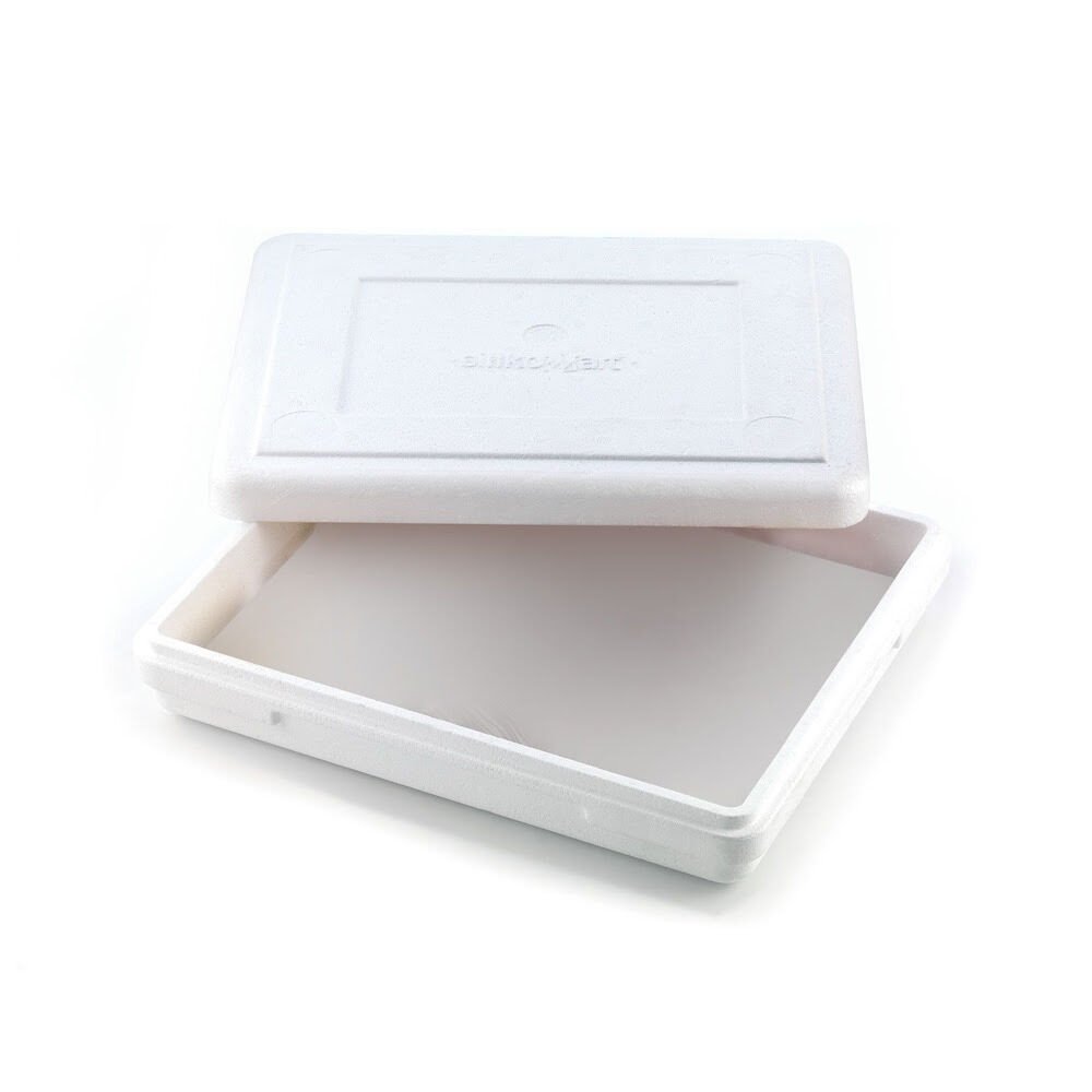 X100ST TAKE AWAY BOX FRISCO - ISOLEREND 278X228 H56 MM