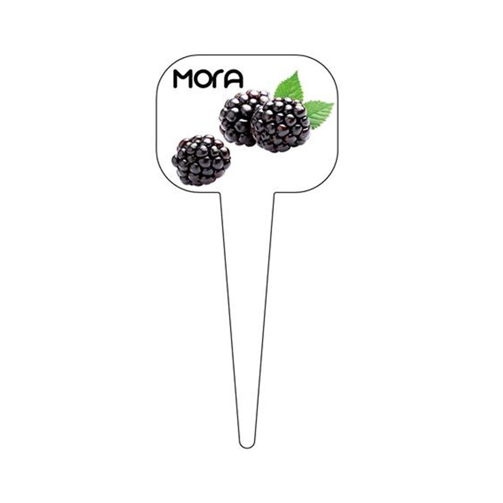 X1ST.SMAAKKAARTJE MORA