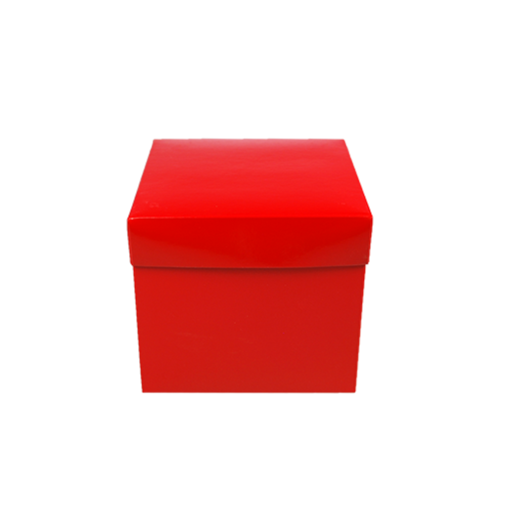 50 KUBUS 250 G ROUGE LAQUE       _