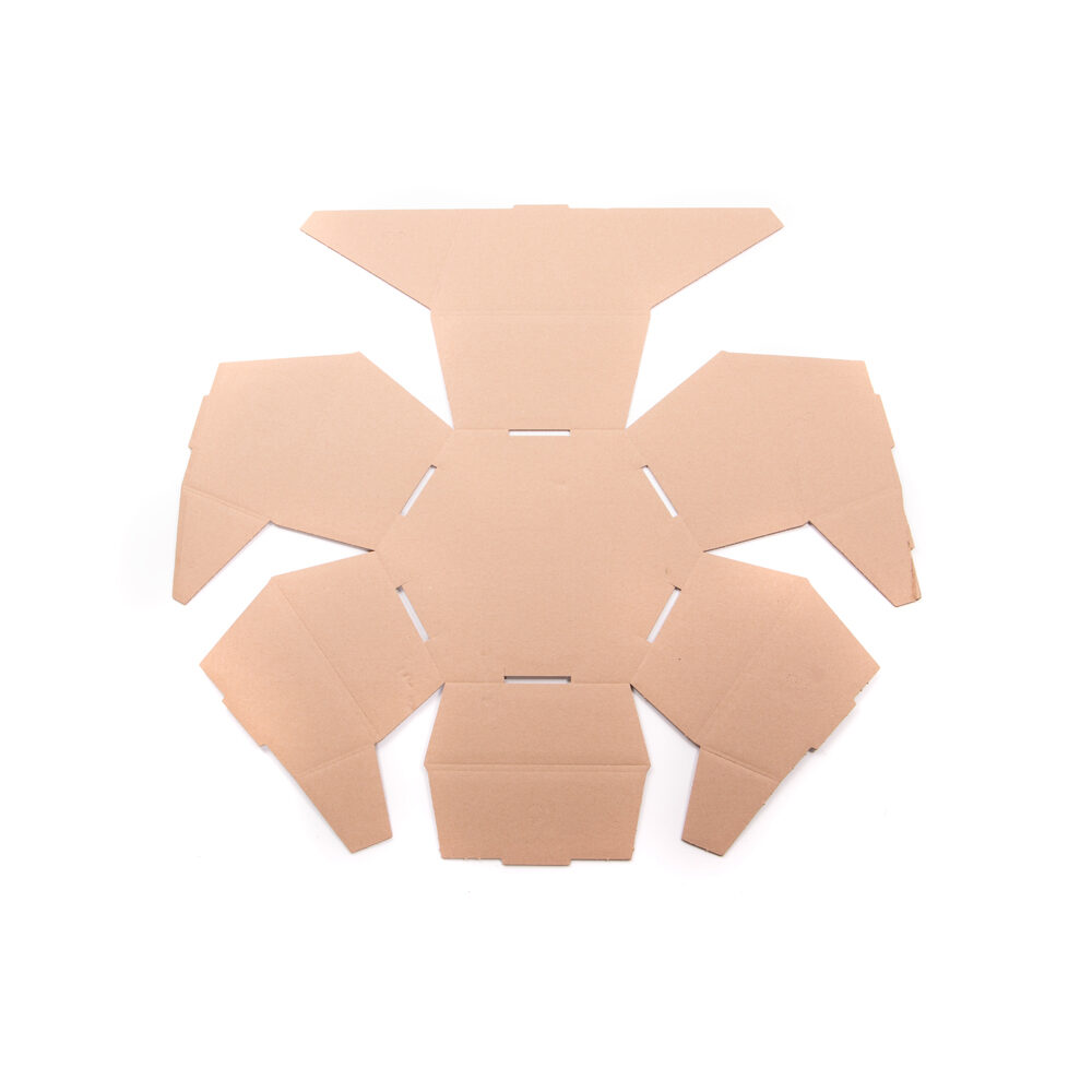 25ST MANDJE ZESHOEK MED. NATUUR  _