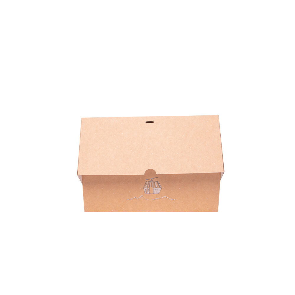 X50PC BOX CHRISTMAS LOG PRO KRAFT 2020 35X14X14CM