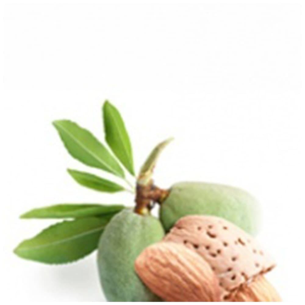 X1ST SAMPLE 40440 PASTA MANDORLA PURA 100% (ALMOND) FUGAR