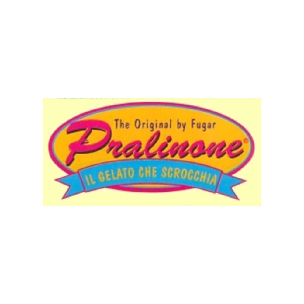 X1ST STAAL 40042 PASTA PRALINONE FUGAR