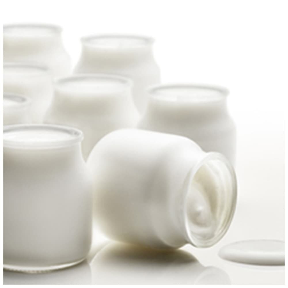 X1ST SAMPLE 41724 YOGURT WORLD 30 FUGAR