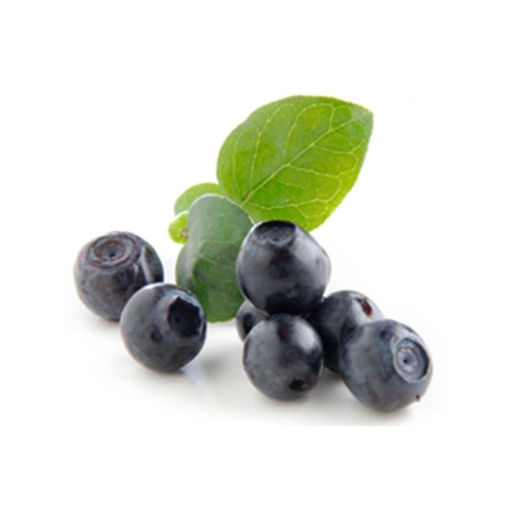 X1ST STAAL 41168 SPEEDY MIRTILLO (BOSBES) FUGAR