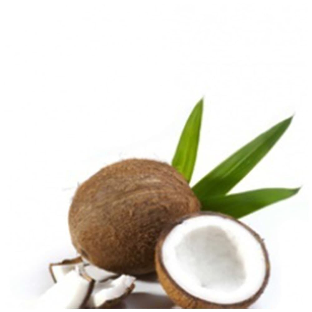 X1ST SAMPLE 41145 SPEEDY COCCO FUGAR