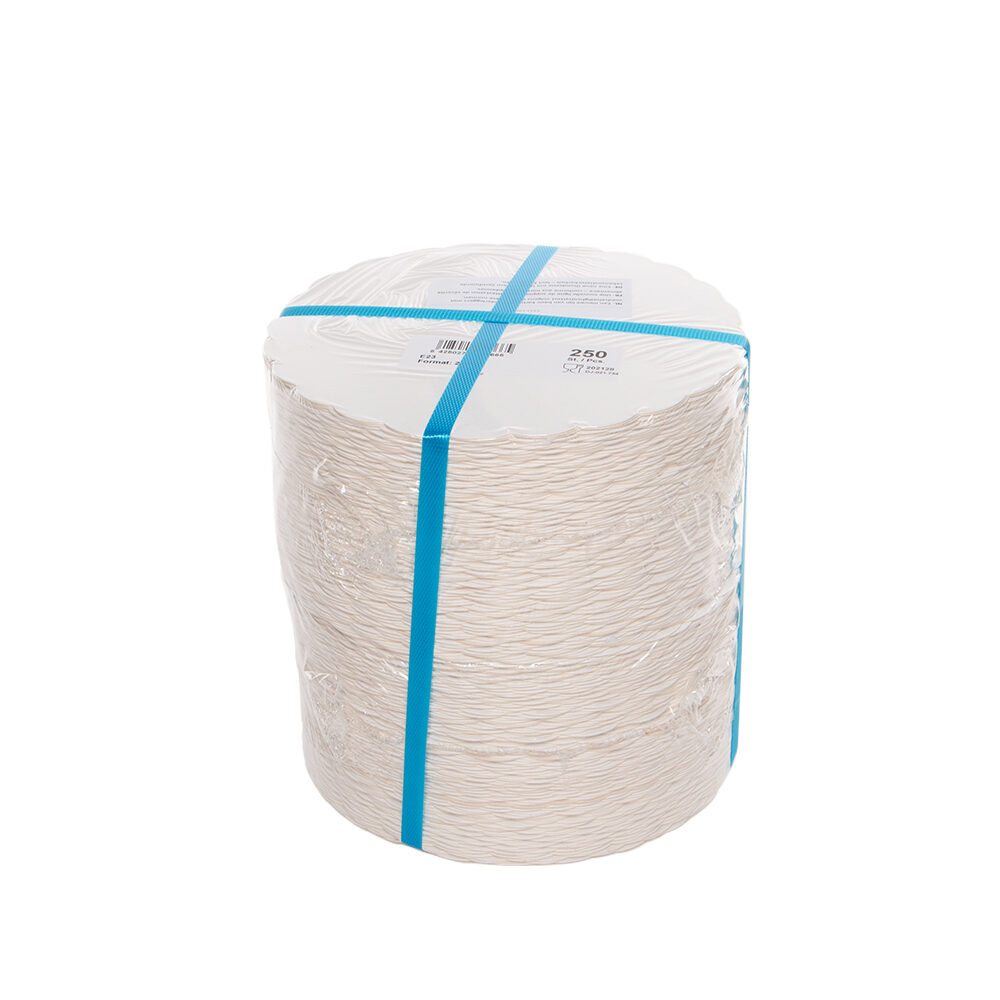 X250PC CARDBOARD ECOLINE ROUND 23CM