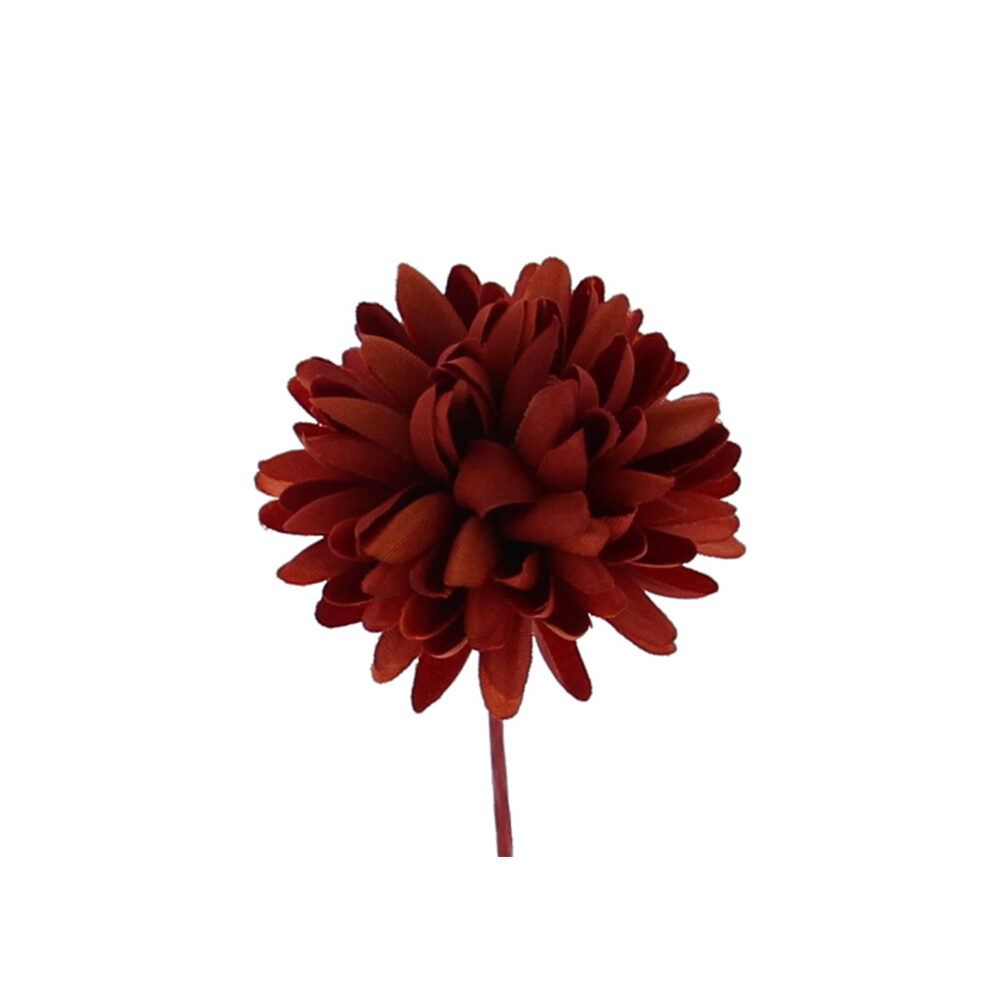 X12PC DAHLIA ROUILLE 6X6X9CM