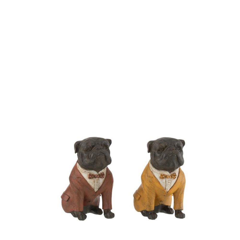 X1ST BULLDOG POLY ORANJE SMALL