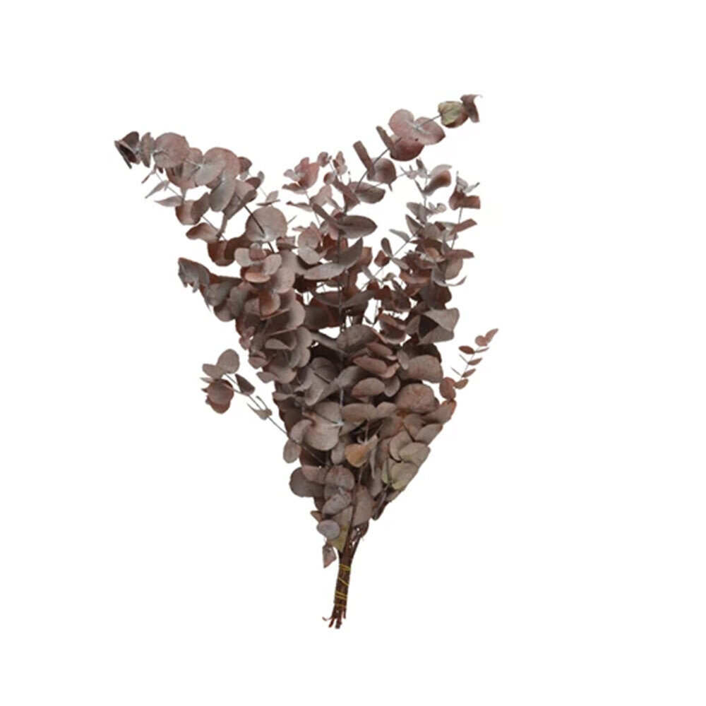 X1PCS  PAQUET EUCALYPTUS ROUGE