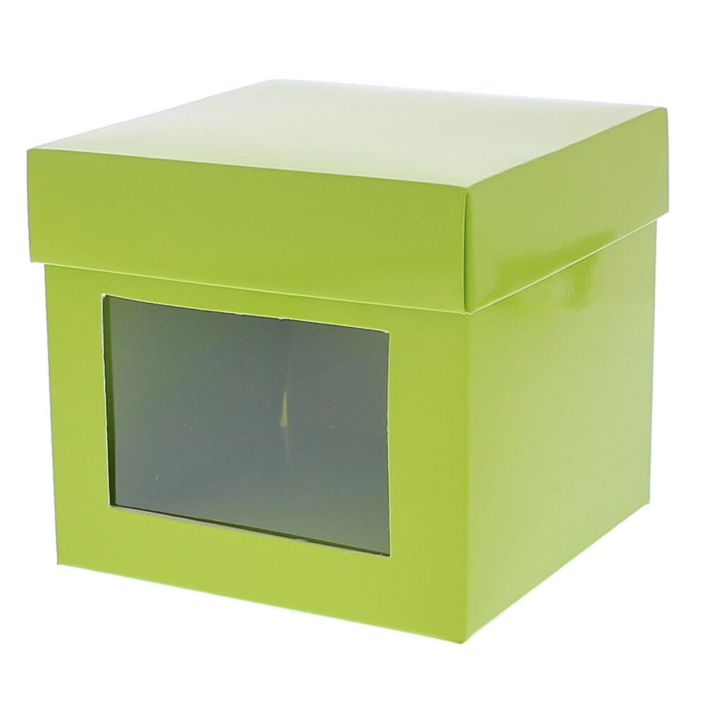 X24PC.CUBE +FENETRE VERT    500GR_