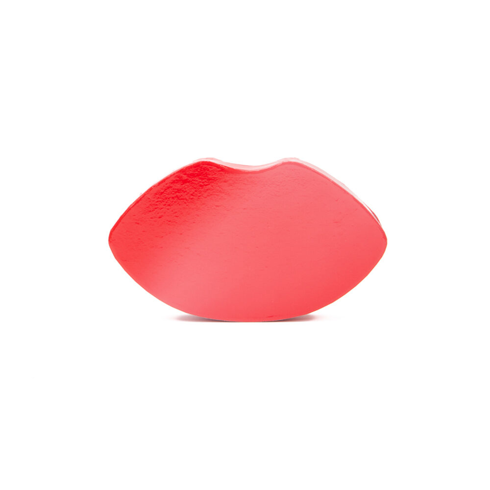X1ST LIPS DOOS MET DEKSEL