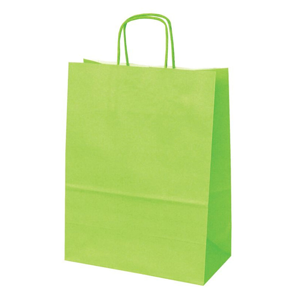 X50PC SAC KRAFT VERT 24X12X31CM