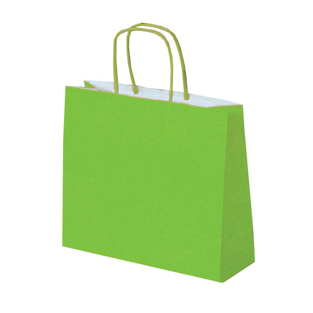 X50PC.SAC KRAFT VERT XS     24X21_