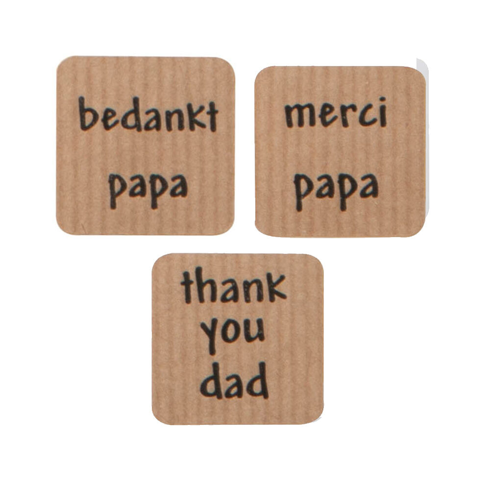 X500ST STICKERS BEDANKT PAPA VIERKANT 3X3CM