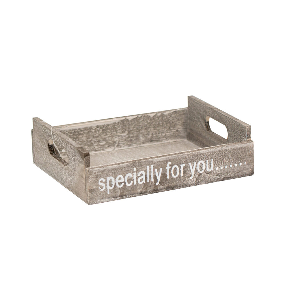 X1PC.PLATEAU GRIS SPECIALLY FOR Y_