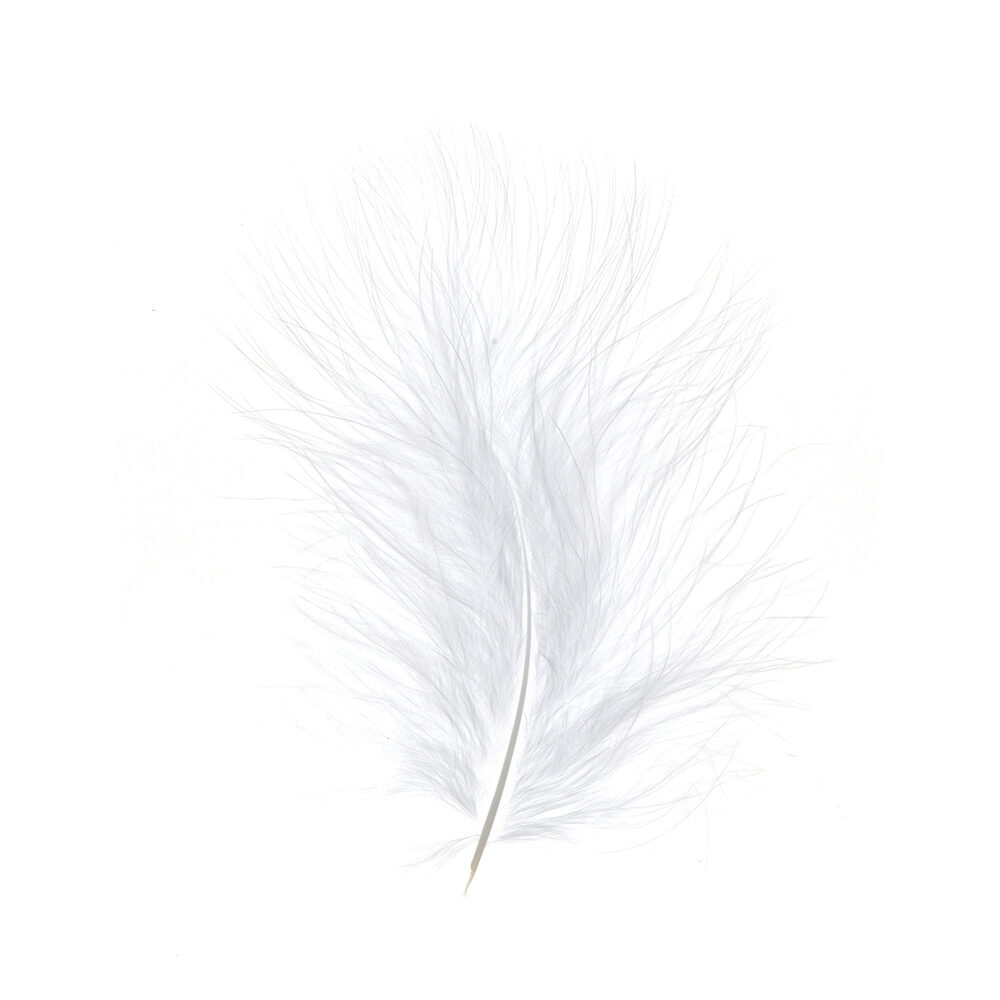 X 1DS.PLUIM MARABOU           WIT_