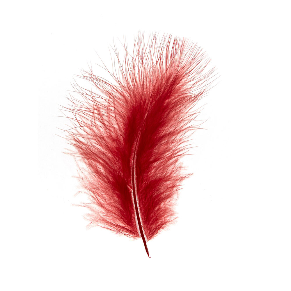 X 1DS.PLUIM MARABOU          ROOD_