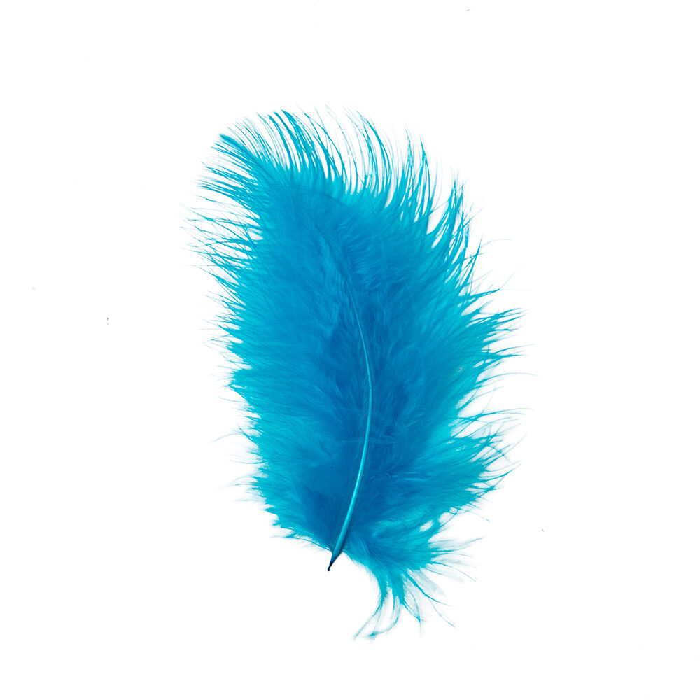 X 1DS.PLUIM MARABOU      TURQUIOS_