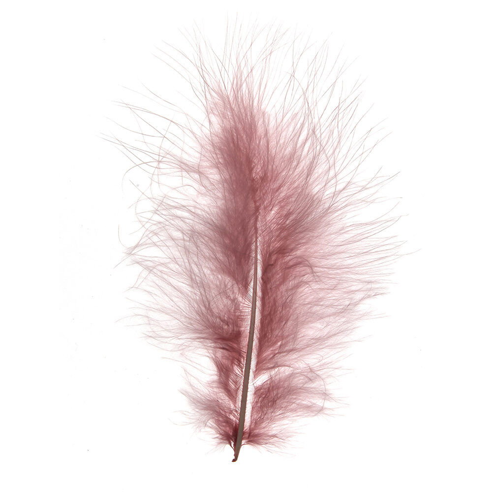 X 1DS.PLUIM MARABOU       OUDROZE_