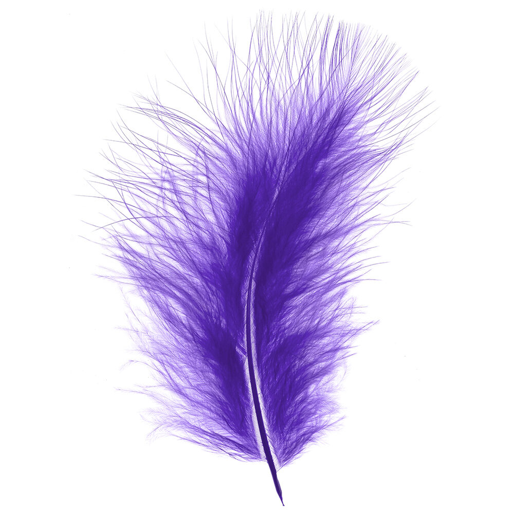 X 1DS.PLUIM MARABOU         MAUVE_