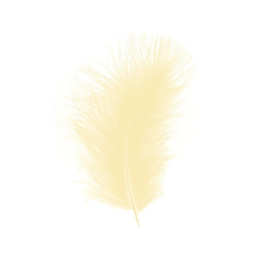 X 1DS.PLUIM MARABOU         CREME_