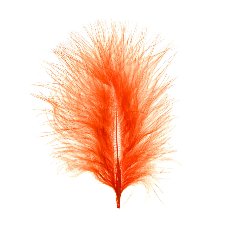 X 1DS.PLUIM MARABOU        ORANGE_