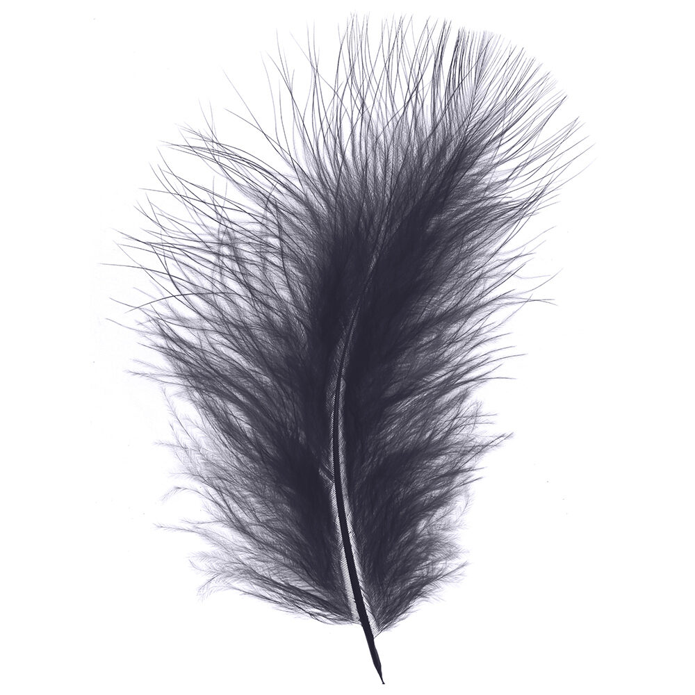 X 1DS PLUIM MARABOU     ANTRACIET_