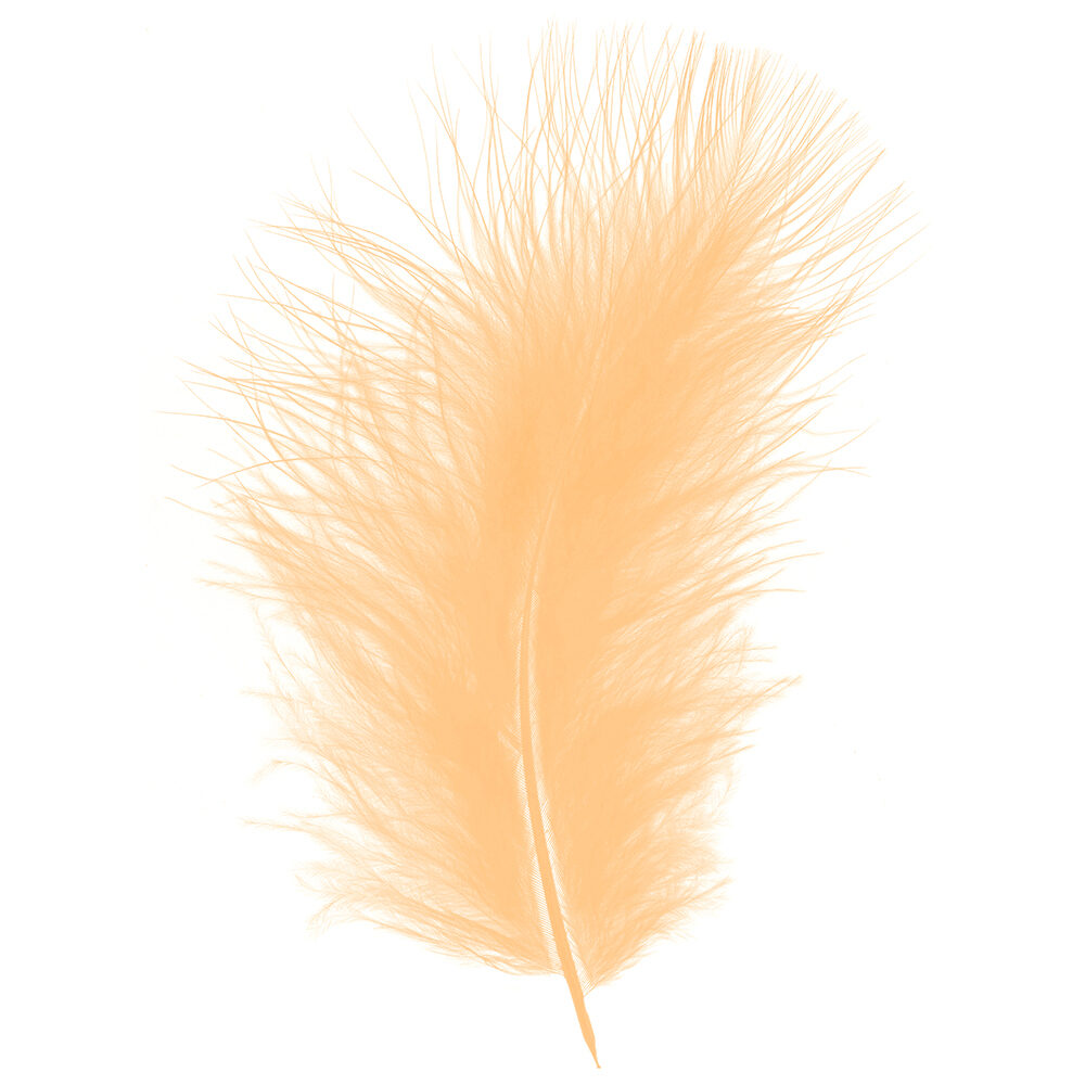 X1DS.PLUIM MARABOU       ZALM    _