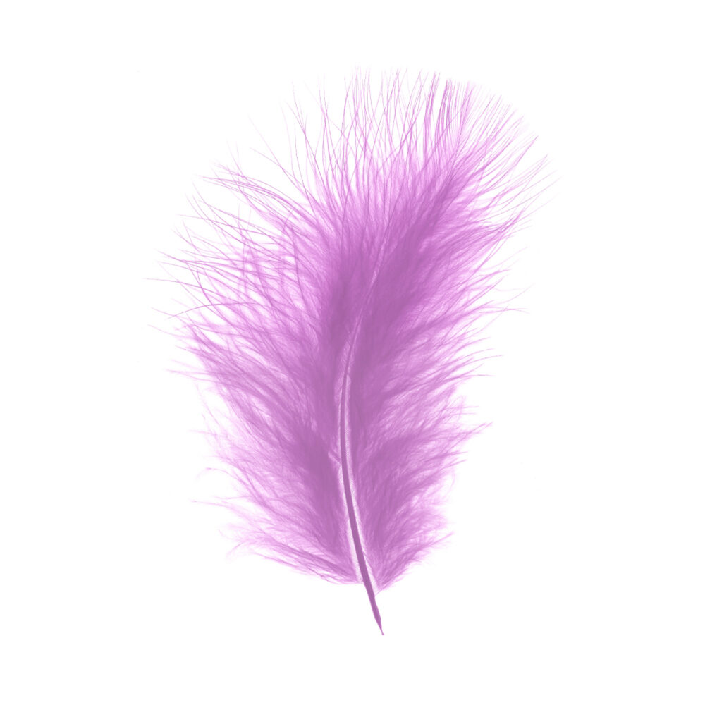 X 1DS.PLUIM MARABOU      LAVENDEL_