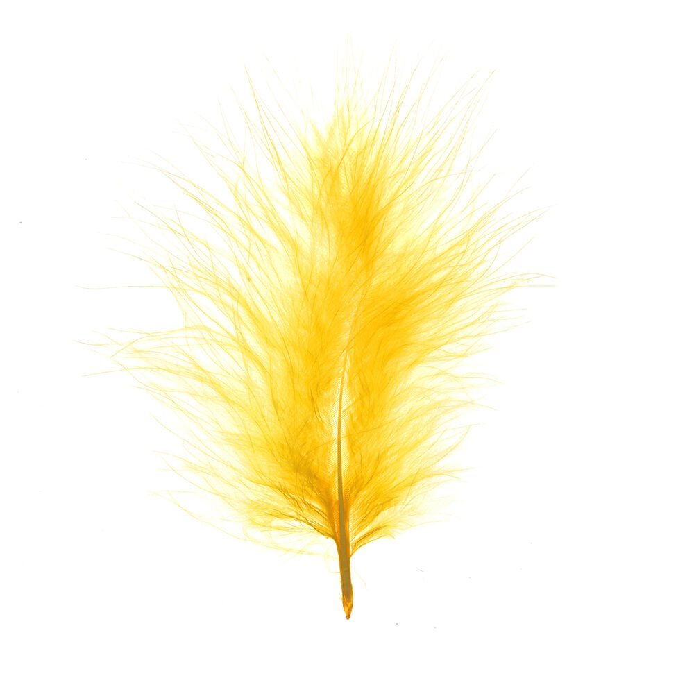 X 1DS.PLUIM MARABOU      PAASGEEL_