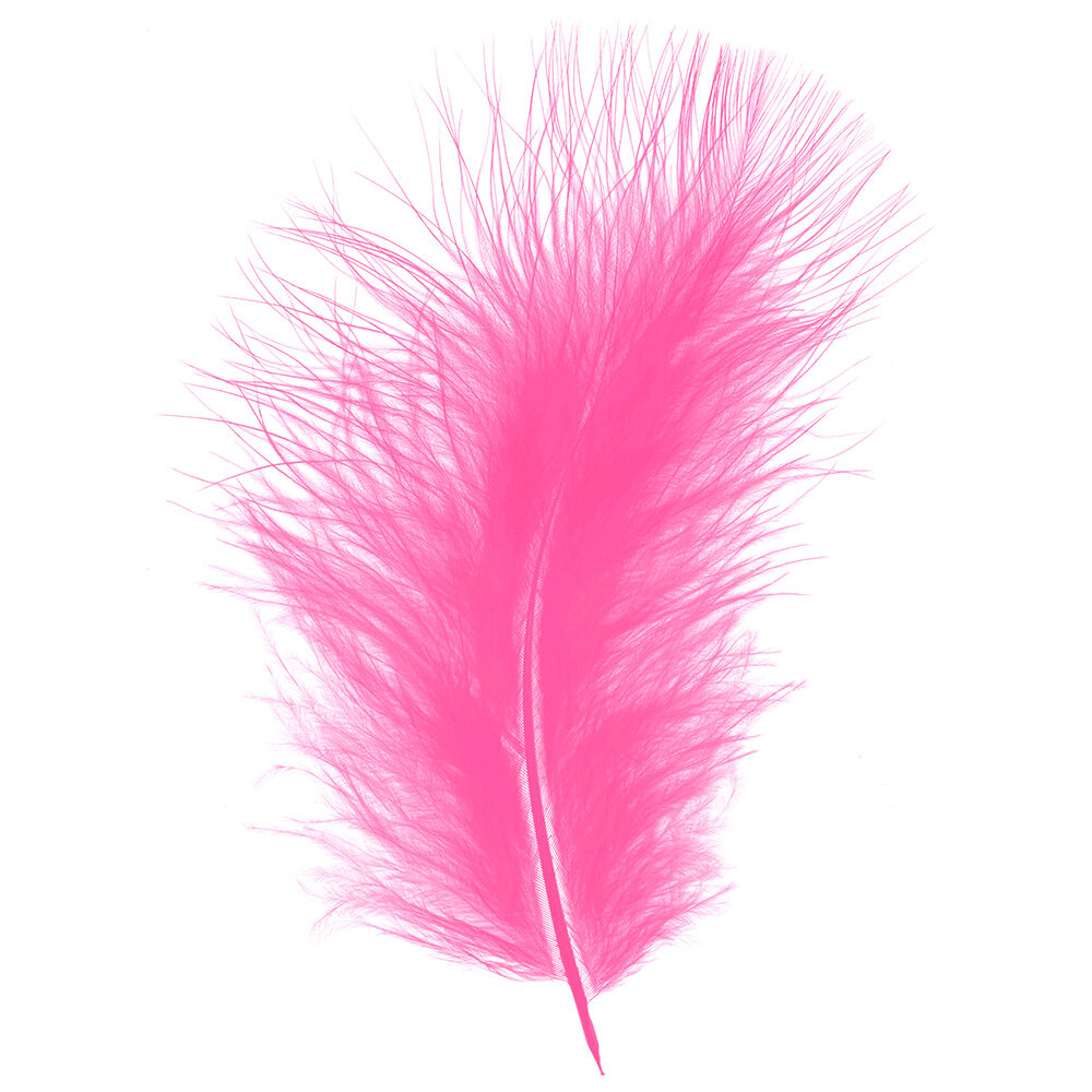 X 1DS.PLUIM MARABOU     ROSE VIVE_